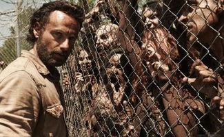 波拉特美国行之监禁与揭发,揭秘监禁背后的真相与反思